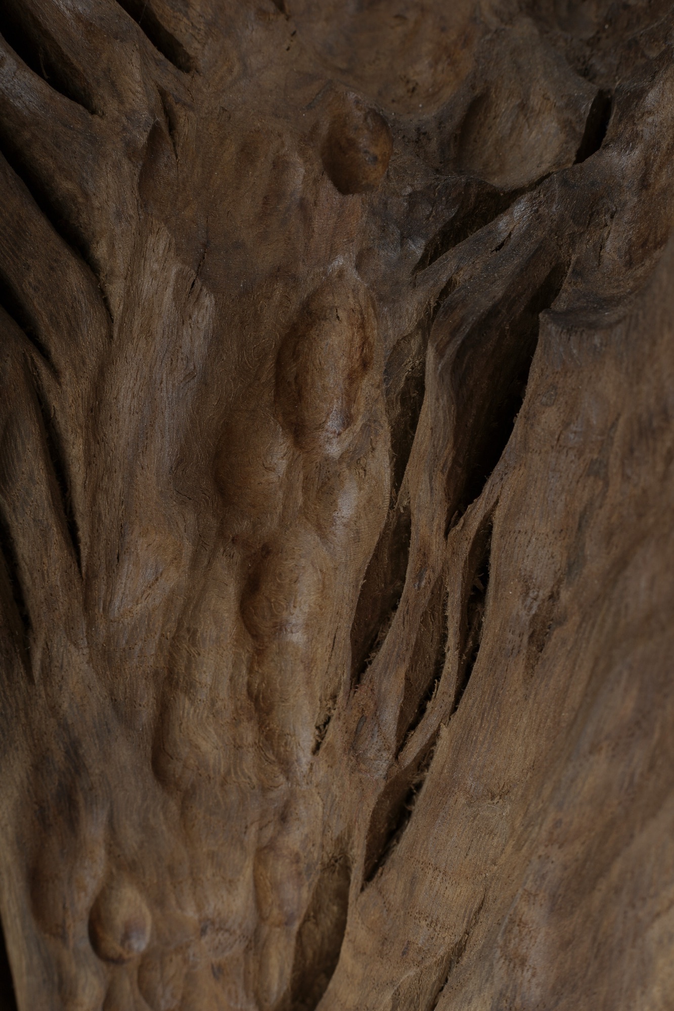 Close-up of raw hardwood timber grain