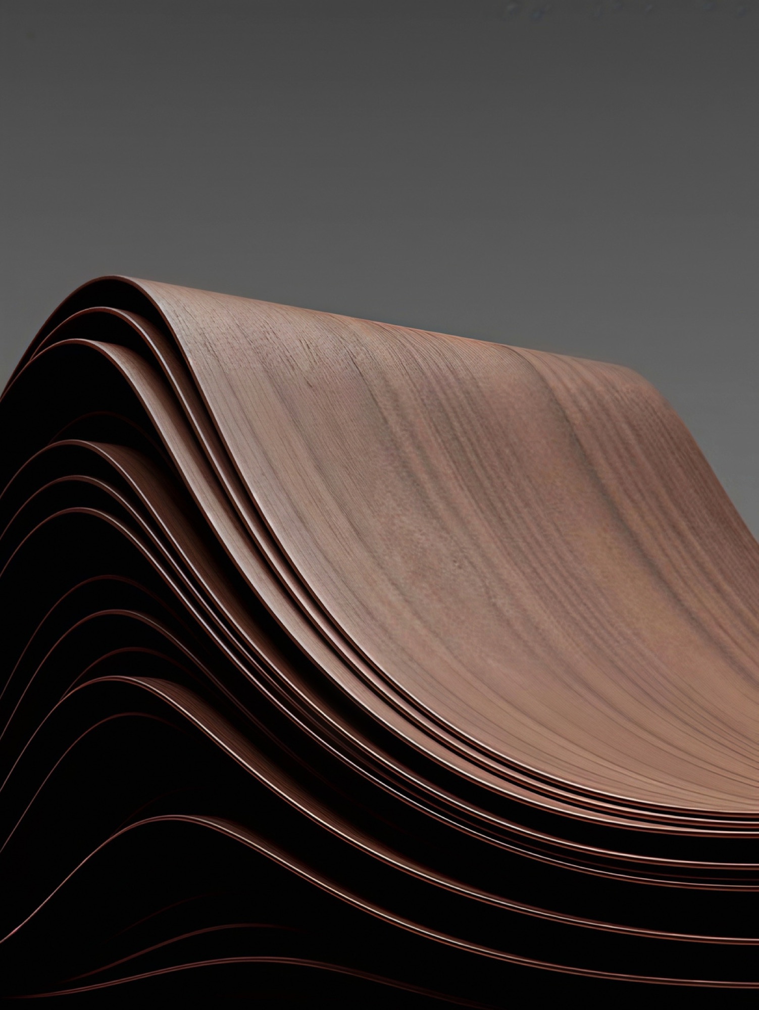 Layered wood veneers curving in warm light